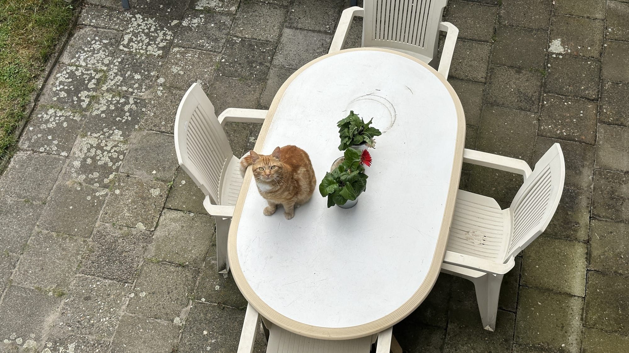 George on table