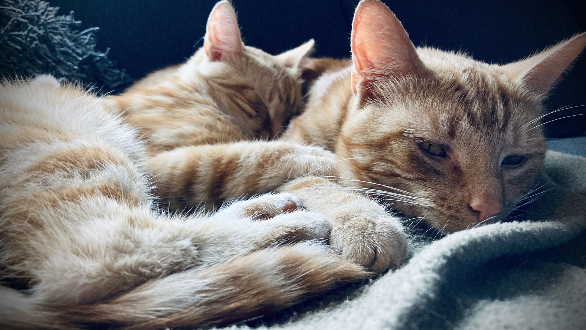 George & Washington